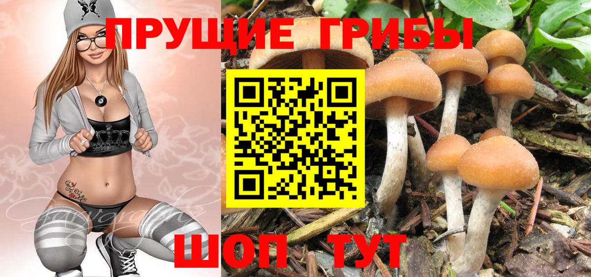 Галлюциногенные грибы Magic Shrooms Хабаровск